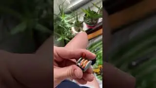 Делаю новую розетку в хате