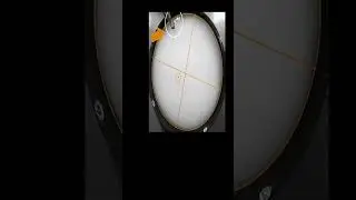 Escape Latency |  Morris Water Maze Experiment Using Any Maze Software| 