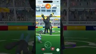 Pokémon Go - Level 3 Raid - Umbreon