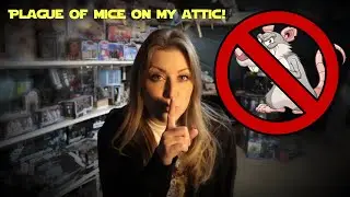 Plague of mice in my Star Wars collection!!! (Or: How to catch a MSE-6.)