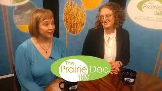 Dermatology 101 | On Call with the Prairie Doc® | April 27, 2023