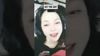 HIT THE HAY (meaning) 