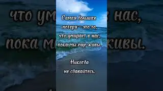 #shorts#мудрыеслова#ожизни