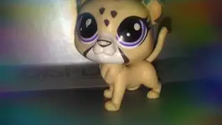 :3сорян что меня так долго не было