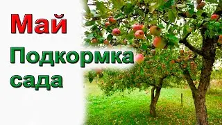 Подкормка яблони, малины, винограда и др. Надолго и надежно.