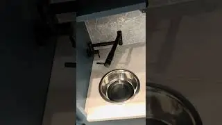 Remember your doggo when designing your remodel