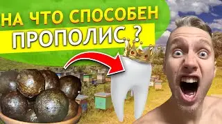 ПРОПОЛИС-ЭТО 9 ЧУДО СВЕТА ! Применение натурального прополиса, полезные свойства и как жевать его ?