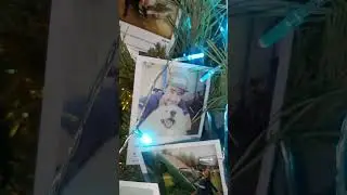 Новогодняя фото елка 2021 🌲📸 Photo christmas tree 2021