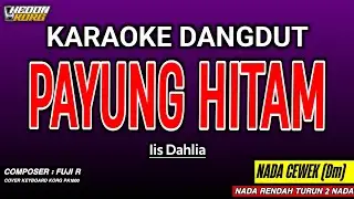 PAYUNG HITAM KARAOKE DANGDUT - IIS DAHLIA