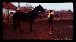 Когда твоя лошадь зависла