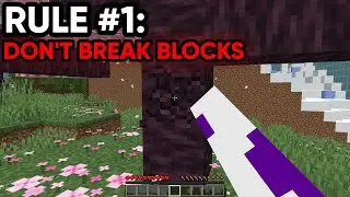I Ruined A Charity Minecraft Event