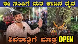 📍 Dodda Sampige Mara – Biligiri Ranganatha Hills | Shivaratri Special Ride