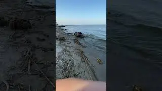 16 июня 2023 г.