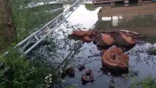 Keď Dunaj rozprestrie  krídla