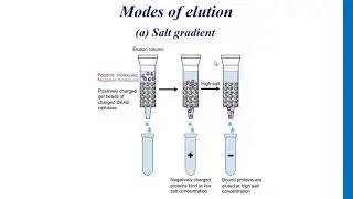 Types of chromatography (part 1)