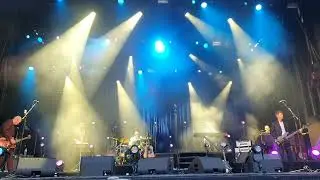 deLillos 40-års-jubileum: Frogner (liveklipp Frøyas have 7. juni 2025)