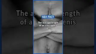 The average length of an erect penis is around 5.16 inches (13.12 cm). 