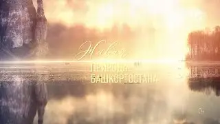 VII Фотоконкурс «Живая природа Башкортостана» | @rgo-rb​