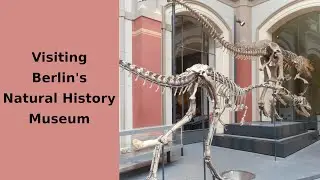Visiting Berlin's Natural History Museum
