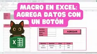 Cómo hacer una Macro en Excel para AGREGAR DATOS automáticamente [Fácil y rápido]