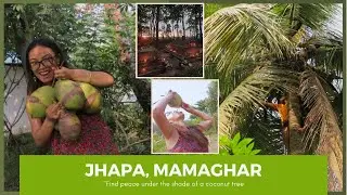 My village Tour | Jhapa Milanchowk |