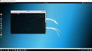 Learn How to change IP address & Set up Wireless Adapter in Kali Linux - Basic Commands Step by Step