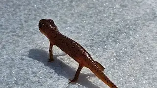 Nice Lil intro | Happy Monday