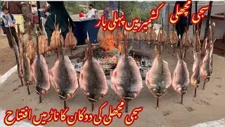 Famous sahndi fish 🐠 first time in Kashmir |#NAR azad Kashmir