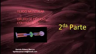 Tejido muscular segundo video de 9. Hernán Aldana Marcos