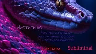 ЧИСТИЛИЩЕ. Жёсткая очистка от сущностей и зависимостей .Обязательно читать описание.⚠️Саблиминал.