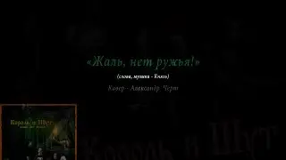 Жаль, нет ружья - Король и Шут (аккорды)