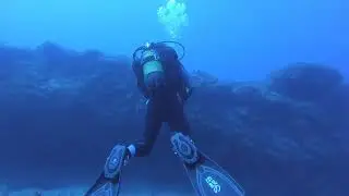 Diving Tenerife 11.08.2023