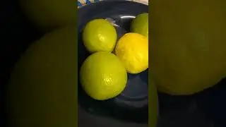 Limão-Tahiti/(Citrus × latifolia)Tanaka ex Yu.Tanaka Tanaka. [Ler Descrição]