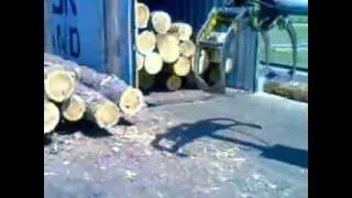 погрузка лису в контейнери погрущиком рекорд