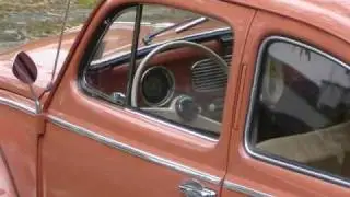 ROSINHA - Estudo Fotográfico e Filme