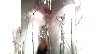yukieta - снежность