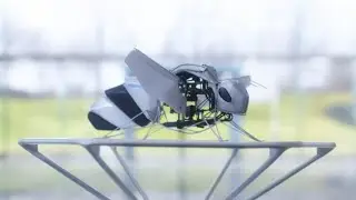 BionicBee - The World's Smallest Robotic Insect