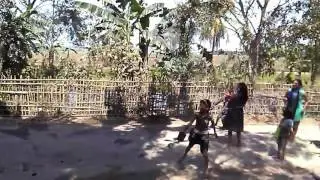 Holi comedy video