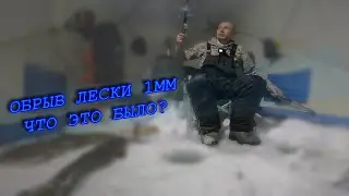 НАЛИМ НА СТУК | ЖОР ПОСЛЕ НЕРЕСТА | ПОДВОДНЫЕ СЪЕМКИ КАМЕРОЙ FOCUS FISH