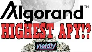 ALGORAND - HIGHEST REWARDS YOU CAN EARN 2021!!!