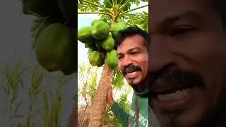 නම දන්නවද