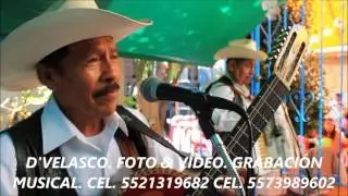 FOTÓGRAFO-FOTO & VÍDEO-NORTEÑOS BANDA-GABINO BARRERA-EN XOCHIMILCO-TLÁHUAC-TULYEHUALCO-MILPA ALTA.