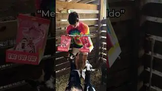 Asking GOATS Who is the GOAT of Soccer!!
