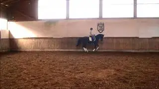 Pusteblume Video