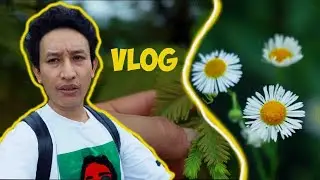 Derai Pachi Vlog Upload Vayo | korea vlog 🇰🇷