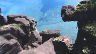 The world is awesome | don't forget it !