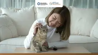 Pet Care - Malayan Insurance