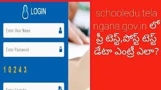 students pretest post test data entry
