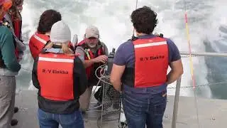 Experiential Learning on the R/V Elakha with OC350