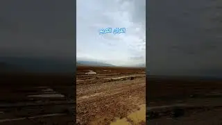 Quran urdu translation 